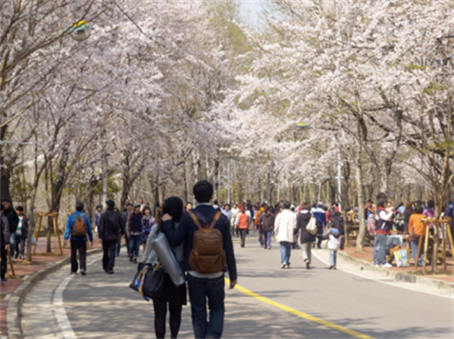 Tổng cục Du lịch khuyến cáo không đưa khách đến vùng có dịch ở Hàn Quốc